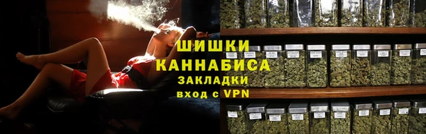 молекула духа Бородино