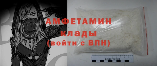 молекула духа Бородино