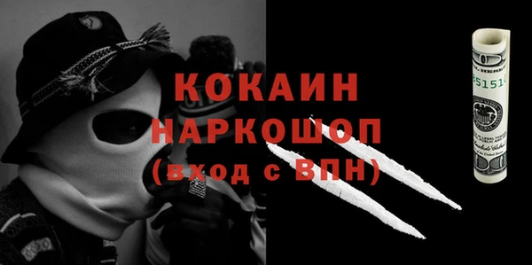 молекула духа Бородино
