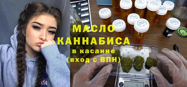 молекула духа Бородино
