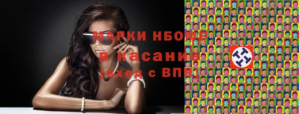 молекула духа Бородино