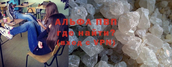 молекула духа Бородино