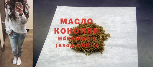 молекула духа Бородино