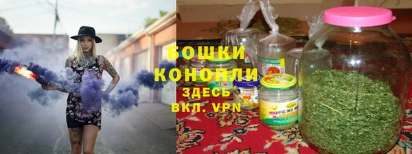 молекула духа Бородино