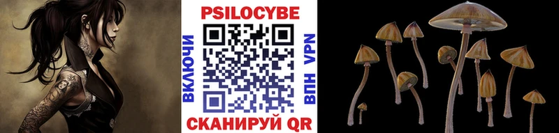 Галлюциногенные грибы GOLDEN TEACHER  Вышний Волочёк 